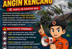 Warga Bandar Lampung Diminta Waspada, Angin Kencang Capai 55 Km/Jam