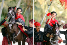 Mengenal Sayyang Pattu'duq, Tradisi Kuda Menari Khas Mandar Sulawesi Barat