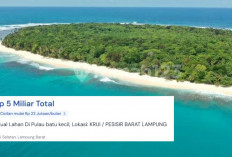 Heboh Pulau Batas Negara Dijual Online, Pulau Batu Kecil di Pesisir Barat Tampil di Situs Properti