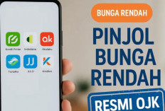 Usia 26 Hingga 35 Tahun Merupakan Kalangan Yang Paling Banyak Terjerat Pinjol Ilegal