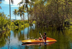 Pantai Cacalan Banyuwangi, Harmoni Wisata Bahari di Ujung Timur Jawa