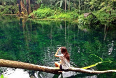 Telaga Nilem, Permata Air Jernih yang Menyatu dengan Alam Kuningan