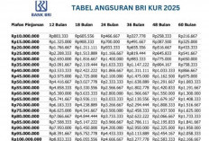 Cicilan KUR BRI Rp60–70 Juta 2025, Kenapa Disebut Zona Nanggung