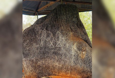 Mengenal Situs Megalitik Tutari: Jejak Sejarah dan Falsafah Kepemimpinan Purba di Papua