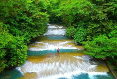 Air Terjun 7 Bidadari di Lereng Gunung Ungaran, Surga Tersembunyi dengan Tujuh Aliran Eksotis