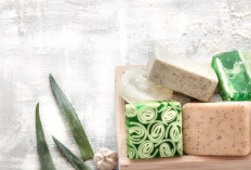 Manfaat Sabun Aloe Vera, Solusi Alami untuk Kulit Lembap dan Sehat Setiap Hari