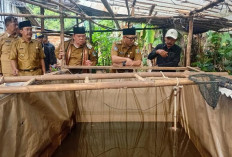 Gubernur Mirza Dorong Petani Gunakan Pupuk Hayati Cair untuk Tingkatkan Hasil Panen