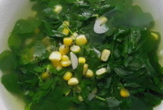 Sayur Bening Daun Kelor: Hidangan Tradisional Kaya Gizi yang Menyegarkan