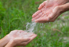 Krisis Air Bersih: Ancaman Nyata bagi Kesehatan Manusia dan Kelestarian Lingkungan