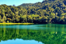 Pesona Ranamese, Danau Tenang Berkabut di Pegunungan Flores