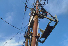 Keamanan Instalasi Kunci Keandalan, PLN Apresiasi Pengungkapan Pencurian Kabel