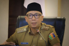 Pergub Ubi Kayu Ditegakkan, Pemprov Lampung Apresiasi Industri Taat Aturan