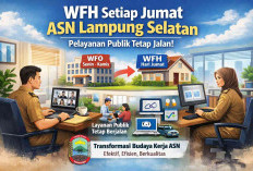 ASN Lampung Selatan Mulai WFH Tiap Jumat, Transformasi Kerja Menuju Era Digital