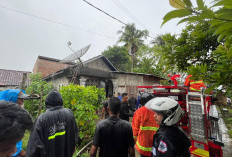 Selang Dua Hari, Korsleting Listrik Kembali Picu Kebakaran di Pekon Pemerihan