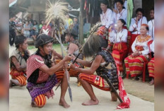 Tari Bulu Londong: Tarian Perang Tradisional dari Mamasa, Sulawesi Barat