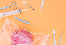 Colostomy Bag: Ketahui Fungsi, Jenis, dan Cara Perawatannya Secara Tepat