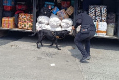 Bea Cukai dan Aparat Gabungan Gagalkan Penyelundupan 36 Kilogram Sabu di Pelabuhan Bakauheni