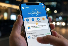 Panduan Resmi Dapat Saldo DANA Rp114 Ribu yang Langsung Cair