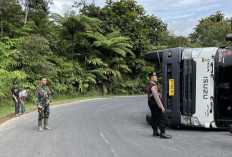 Truk Muatan 13 Ton Rongsokan Terguling di Tanjakan Anyan Bakhu