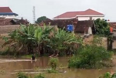 Hujan Deras di Rajabasa, Bocah 10 Tahun Terseret Arus Sungai