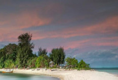 Langkadea, Pulau Sunyi di Kepulauan Spermonde yang Menyimpan Pesona Alam