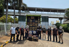 Penyelundupan 10 Juta Batang Rokok Ilegal Terbongkar, Potensi Kerugian Negara Rp9,79 Miliar
