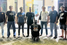 Kurang dari 12 Jam, Pelaku Pembuang Bayi di Kebun Kopi Rigis Jaya Lampung Barat Ditangkap Polisi