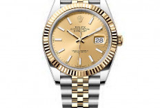 Daftar Jam Tangan Rolex Terpopuler 2026 Lengkap dengan Kisaran Harga