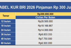 KUR BRI 2026 Jadi Motor Ekspansi UMKM di Tengah Keterbatasan Modal