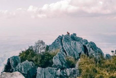 Menaklukkan Dinding Batu Fatule’u, Antara Adrenalin, Mitos, dan Panorama Kupang
