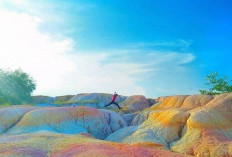 Menyusuri Jejak Pesona Alam dan Budaya di Pekanbaru