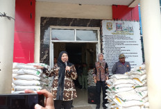 Pemkot Bandar Lampung Kirim 12 Truk Bantuan untuk Korban Banjir di Sumatera