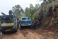Sambut HUT RI ke-81, PLN Percepat Pemerataan Listrik di Provinsi Lampung
