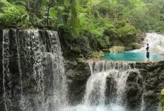 Curug Balong Endah, Pesona Air Terjun Alami di Jantung Halimun Salak