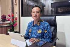 Tambahan DAU Lampung Disebut Nihil, BPKAD Masih Hitung Potensi DBH