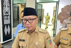 Hujan Redakan Kebakaran TNWK, Gubernur Mirza Ungkap Kendala Pemadaman di Lahan Gambut