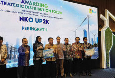 PLN UID Lampung Raih NKO Terbaik Nasional, Listrik Desa Tembus 8 Lokasi