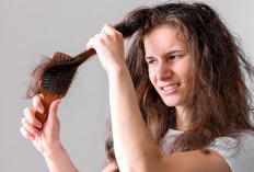Cara Ampuh Mengatasi Rambut Kering dan Pecah-Pecah agar Kembali Sehat