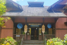 Museum Kayu Tuah Himba: Simfoni Hutan, Seni, dan Budaya Kalimantan Timur