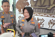 Dugaan Ilegal Logging di Pesisir Barat, Polda Periksa Empat Saksi 