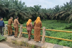 Pelanggaran Lingkungan PT KAP Terungkap, Disbunnak Lampung Utara Siapkan Laporan