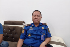 Awal 2026, Damkarmat Bandar Lampung Dominan Tangani Evakuasi Sarang Tawon