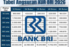 Simulasi KUR BRI 2026: Gambaran Lengkap Cicilan Pinjaman Rp 100 Juta untuk UMKM