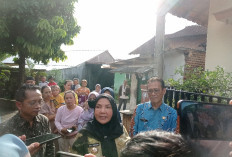 Pemkot Bandar Lampung Pastikan SMA Siger Tetap Beroperasi Sambil Lengkapi Perizinan