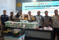 Polres Lamsel Ungkap 3 Kasus Narkotika, Sita 118,59 Kg Sabu dan Selamatkan 479.857 Jiwa