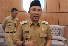 Parosil Temui Gubernur Mirza, Bahas Sekolah Rakyat hingga Relokasi Gajah Liar