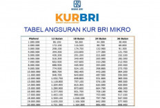 UMKM Harus Tahu, Begini Cara Lolos Pengajuan KUR BRI 2025 di Bulan Desember