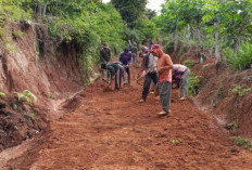 Gotong Royong Warga Sidodadi Rawat Jalan Tanah Merah demi Kelancaran Akses