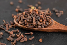 Rahasia Rempah Tradisional untuk Kulit Cerah, Rambut Kuat, dan Wajah Awet Muda