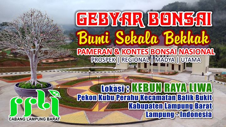 Pertama di Sumatera, Kontes Bonsai Hingga Kelas Utama Bakal Digelar di Lambar